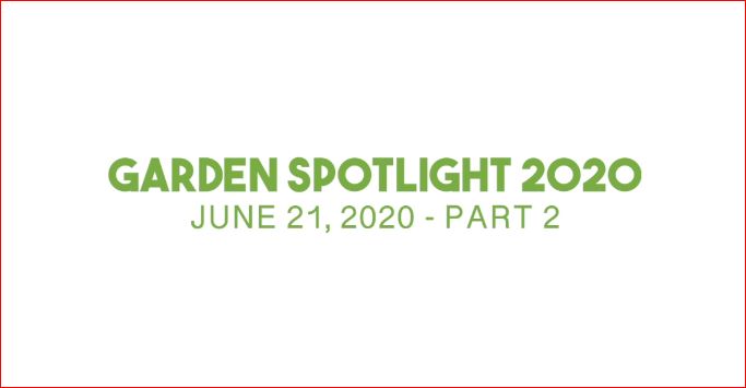 Sunday – Garden Spotlight – Part 2